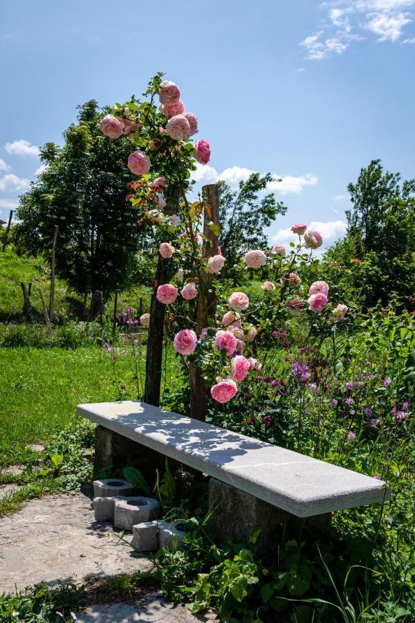 Rooms&Vinery Bregovi - Sobe In Vinska Klet Bregovi Dobravlje 외부 사진